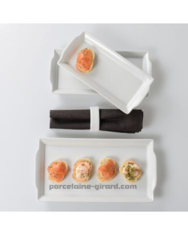PLAT A CAKE BAVAROIS 31X16CM /