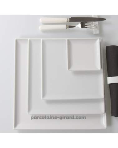 ASSIETTE CARREE  20.5 CM. //