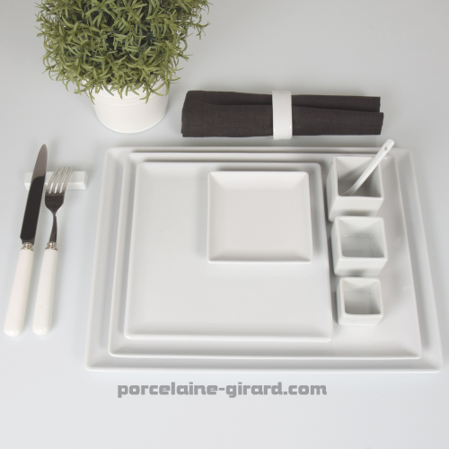 ASSIETTE CARREE  20.5 CM. //