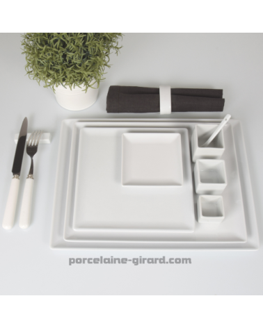 ASSIETTE CARREE  20.5 CM. //
