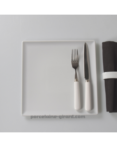 ASSIETTE CARREE 25.5CM /