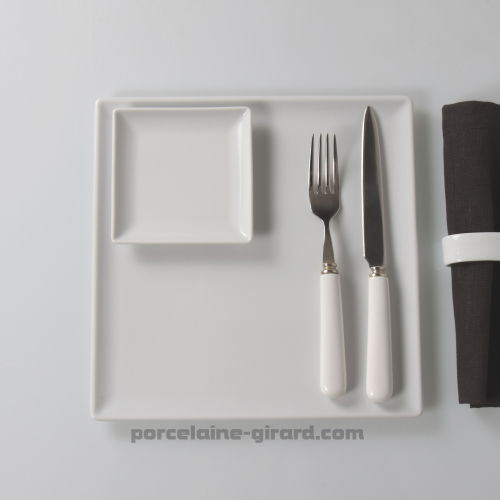 ASSIETTE CARREE 25.5CM /