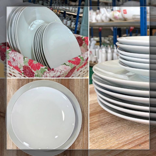ASSIETTE PLATE COUPE LEO 24CM  /