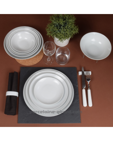 ASSIETTE PLATE COUPE LEO 24CM  /