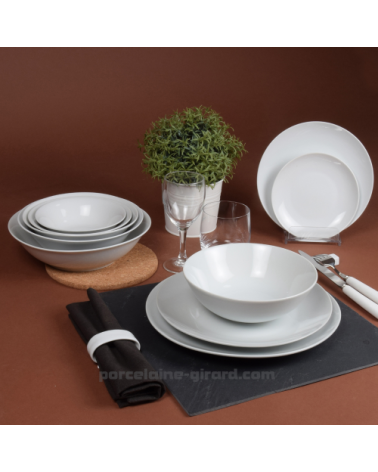 ASSIETTE PLATE COUPE LEO 24CM  /