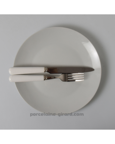 ASSIETTE PLATE COUPE LEO 24CM  /