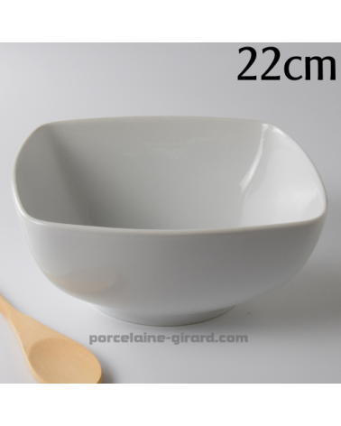 SALADIER SAHARA 22CM HT 10.5CM /
