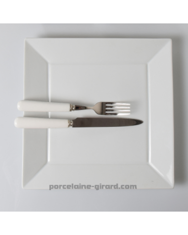 ASSIETTE JAPAN 27CM  /