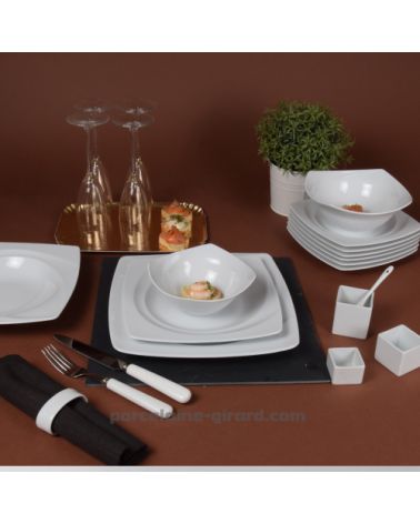 ASSIETTE PLATE CARAT 27 CM/